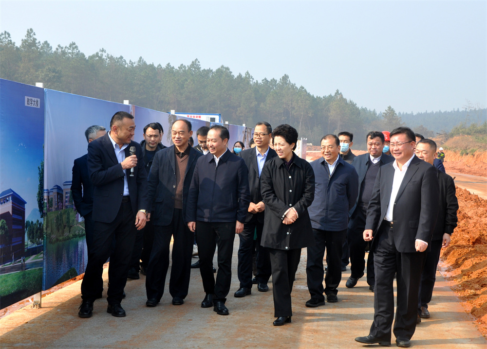 湖南省人大常委会党组书记、副主任乌兰在思科职教城项目建设现场调研考察